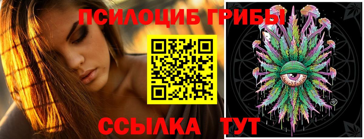 Псилоцибиновые грибы MAGIC MUSHROOMS Тимашёвск