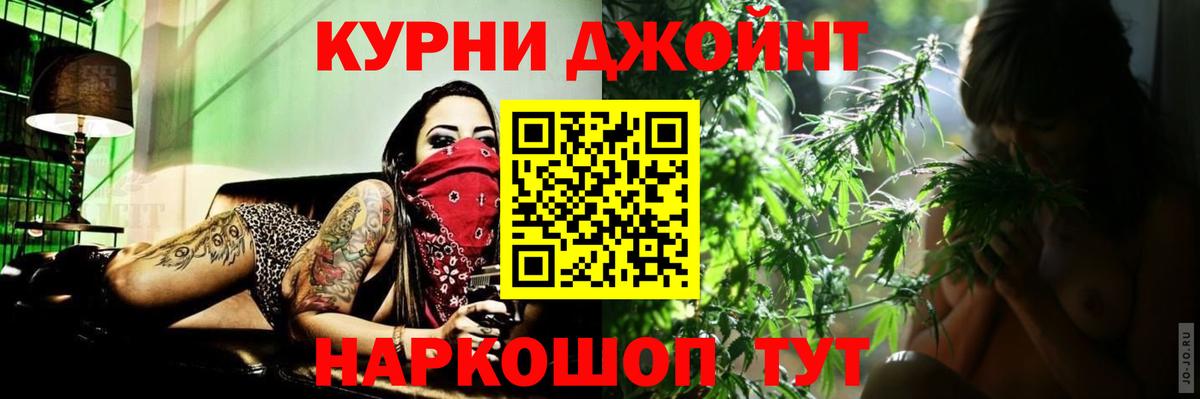 Конопля сатива Тимашёвск